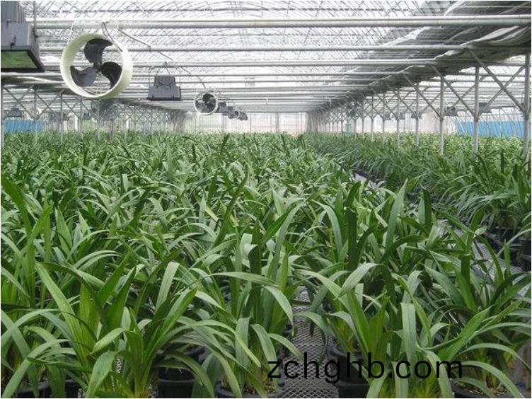 恆(heng)溫溫(wen)室(shi)大(da)棚(peng)
